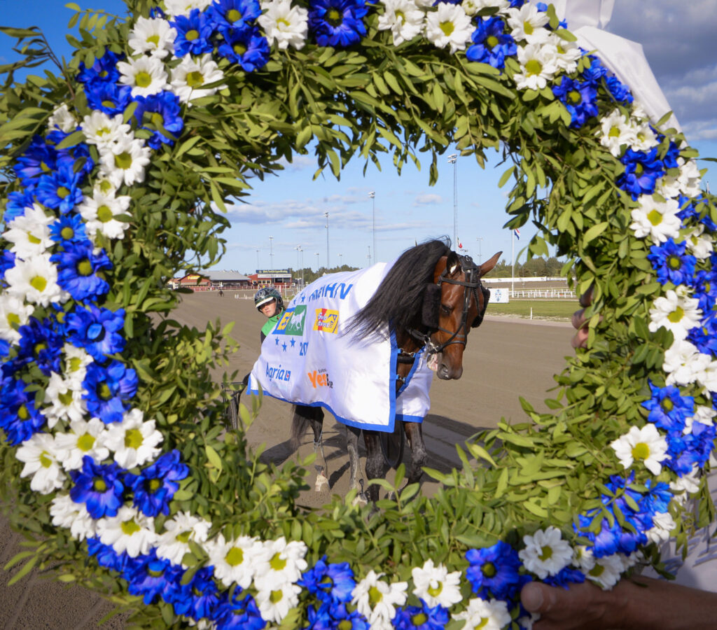 Denna bild har ett alt-attribut som är tomt. Dess filnamn är far-wise-as-i-krans-e3-w-1024x900.jpg